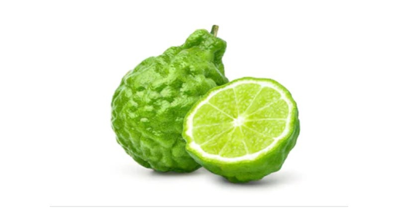 La Bergamota de Calabria – el olor del hombre Armani